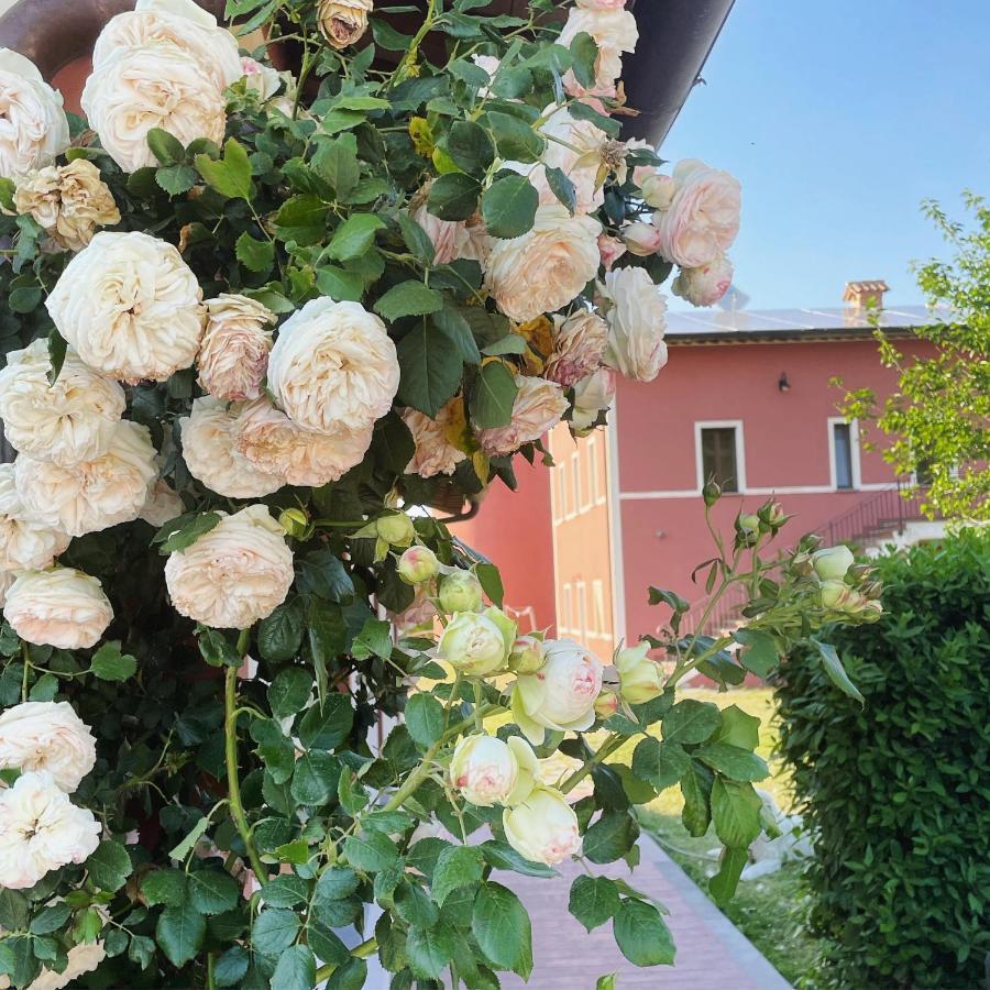 Farm stay La E Bella *