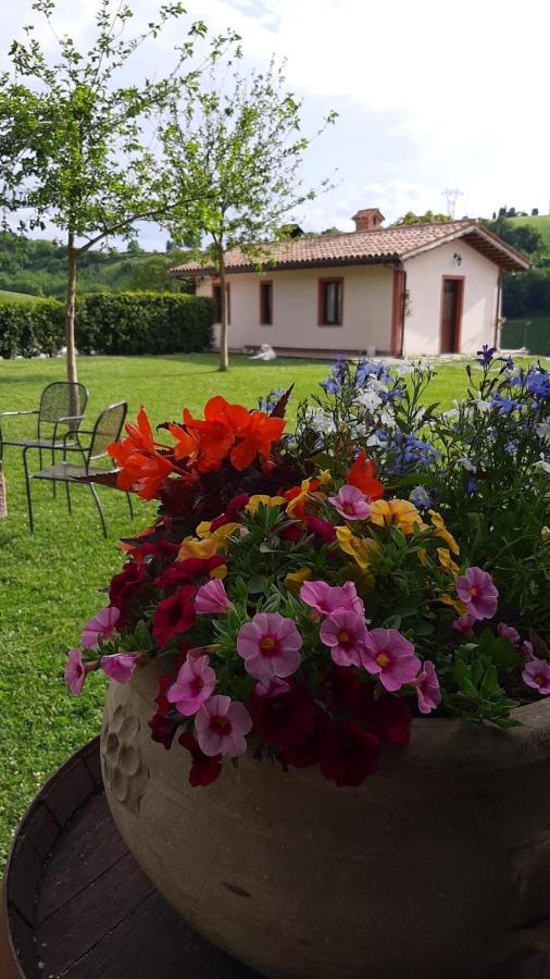 La E Bella Fabriano